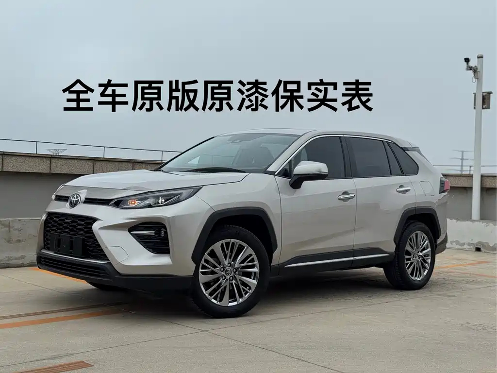 TOYOTA WILDLANDER 2020