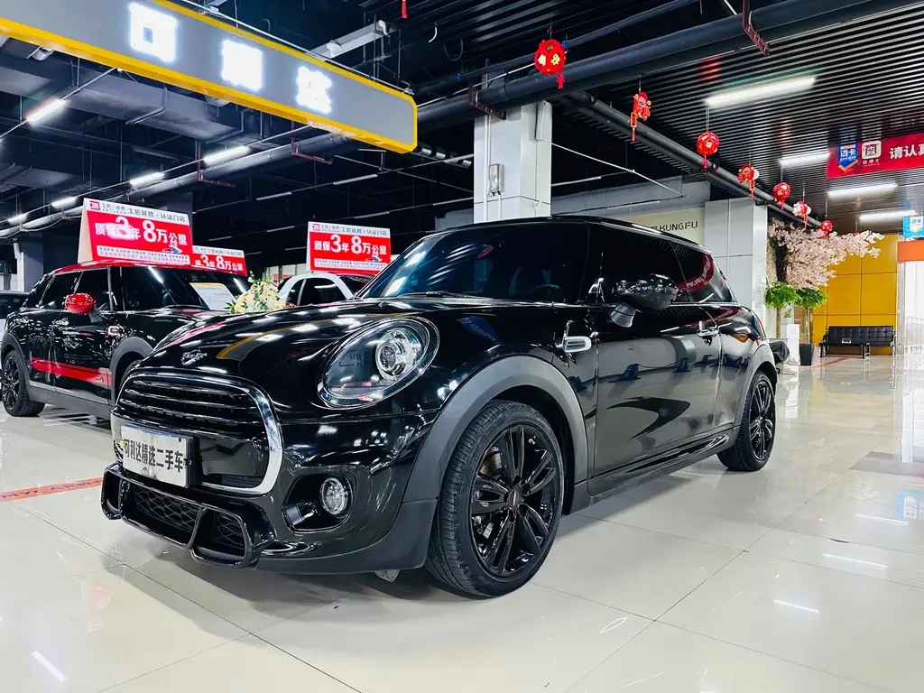MINI OTHER 2021