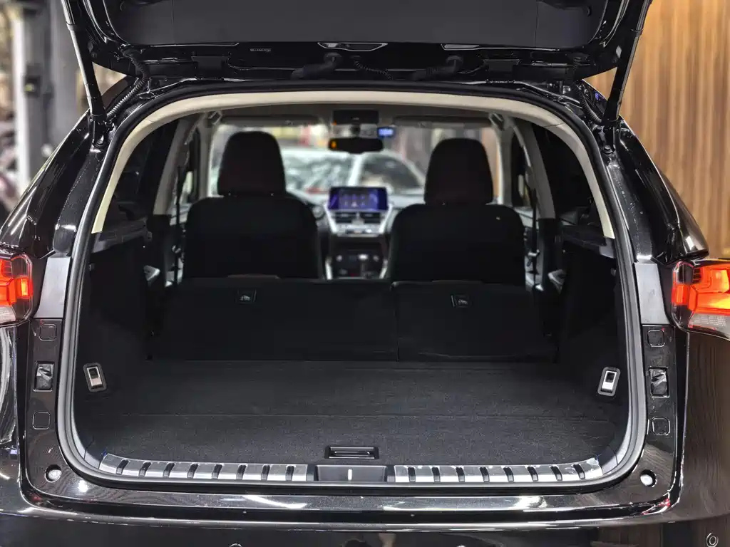 LEXUS NX 2020