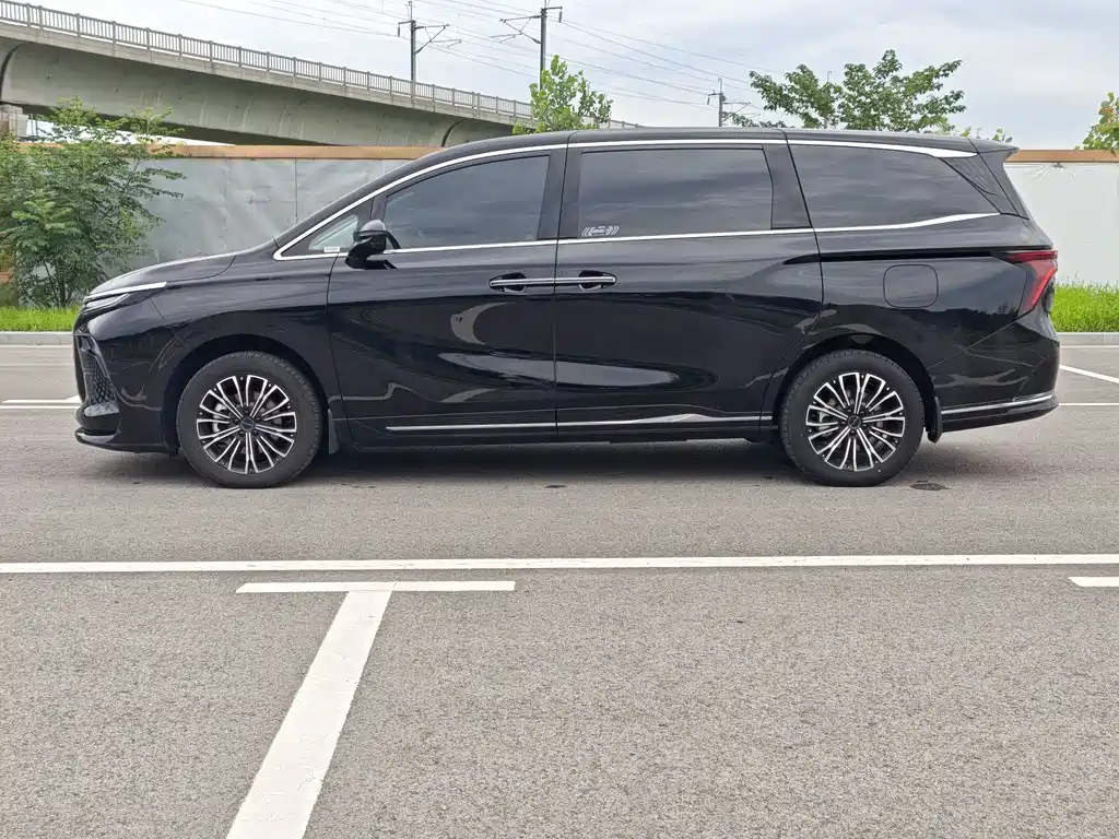 DONGFENG OTHER 2024