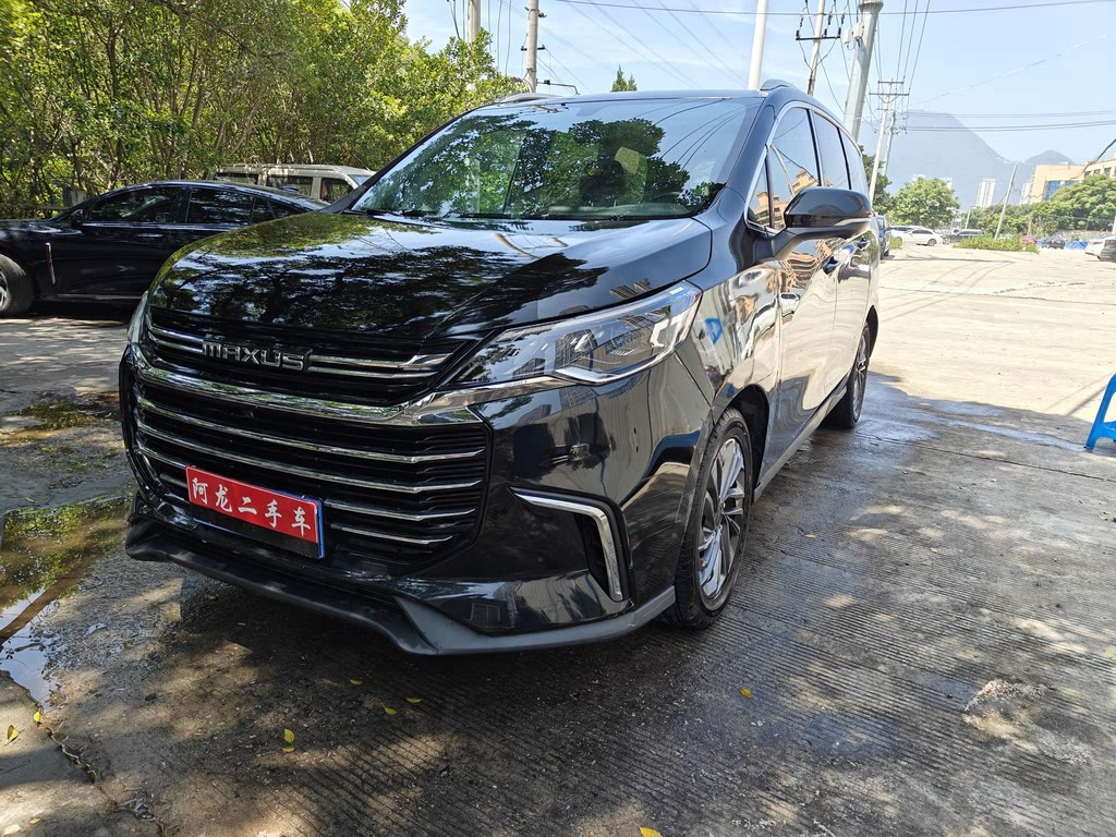 MAXUS OTHER 2019