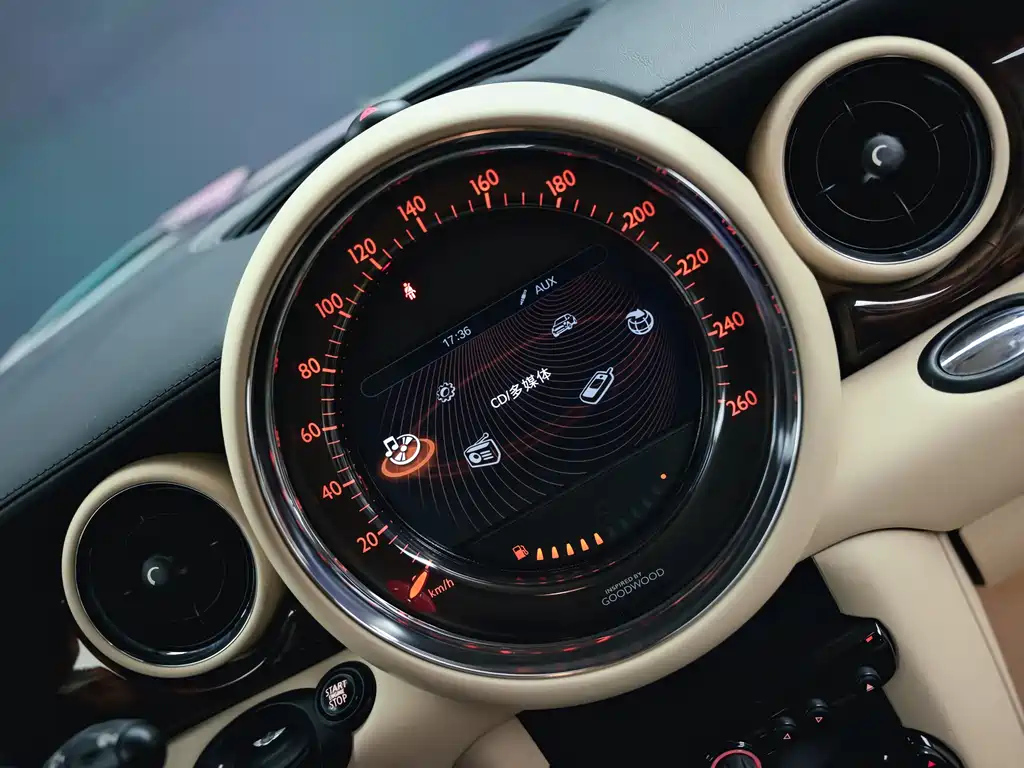 MINI OTHER 2012