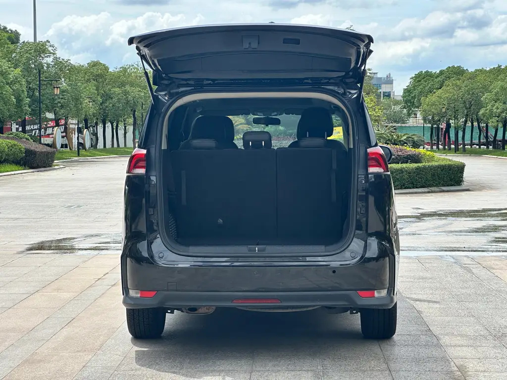 MAXUS OTHER 2019