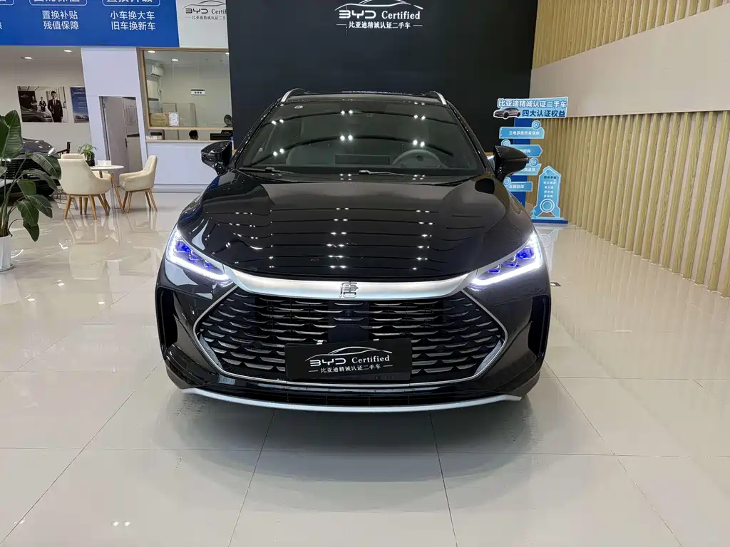 BYD TANG NEW ENERGY 2024