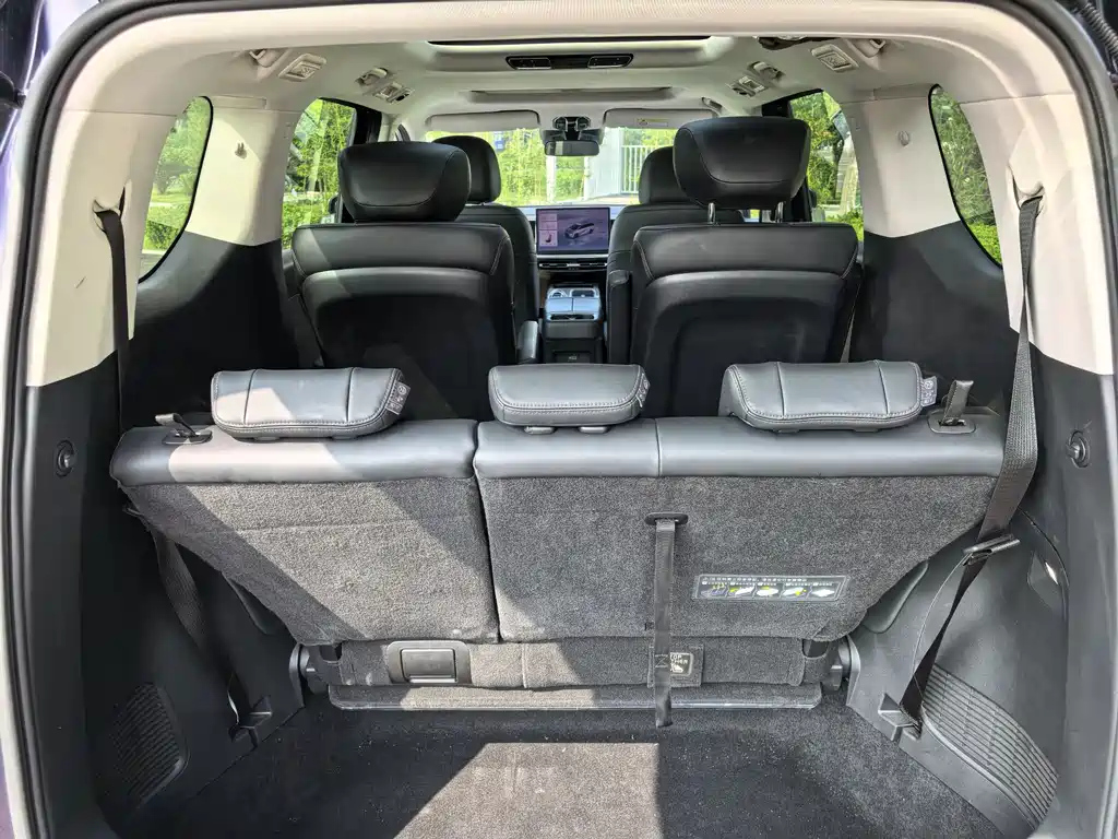 TRUMPCHI E8 NEW ENERGY 2024