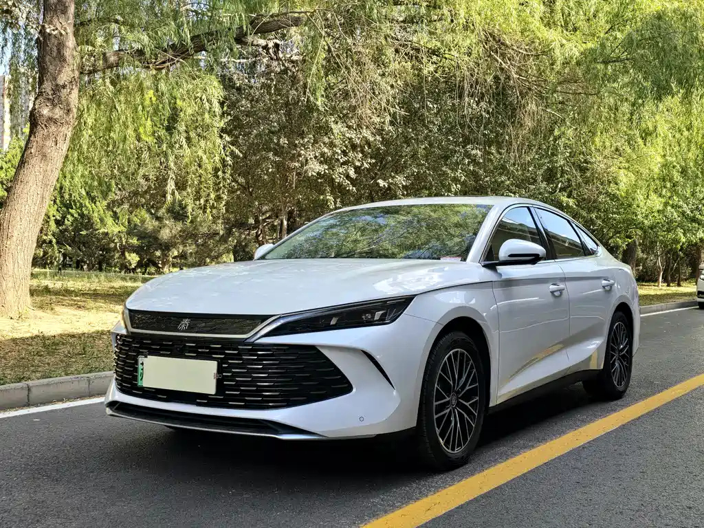 BYD QIN L 2024