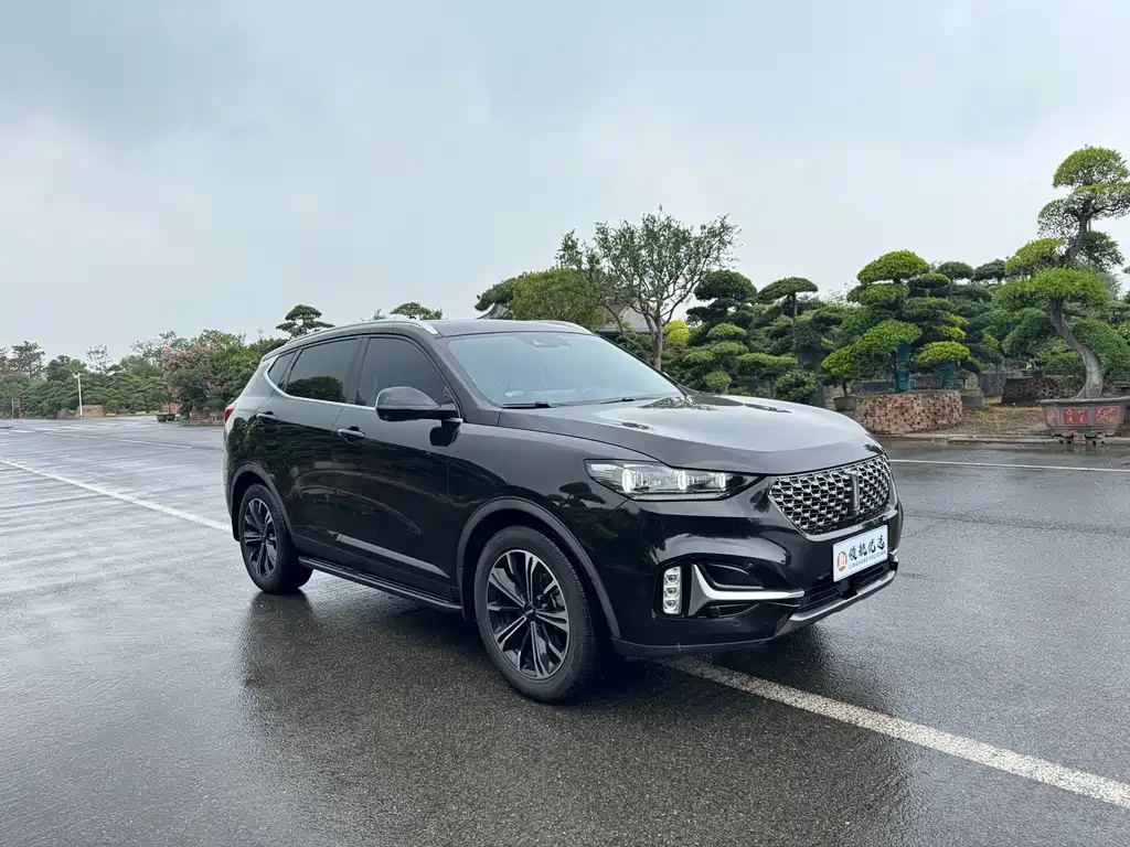 WEY VV6 2021