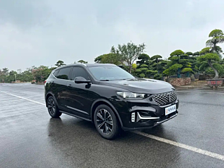 WEY VV6 2021