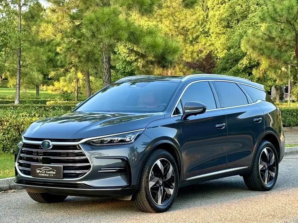 BYD TANG NEW ENERGY