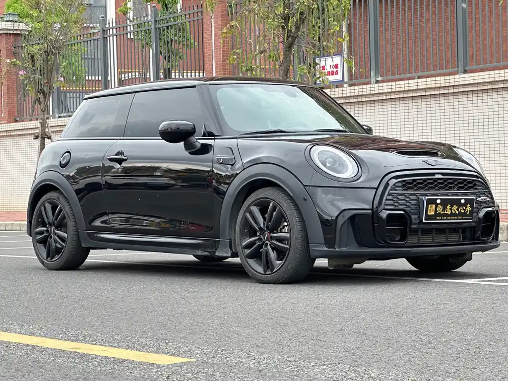 MINI OTHER 2022