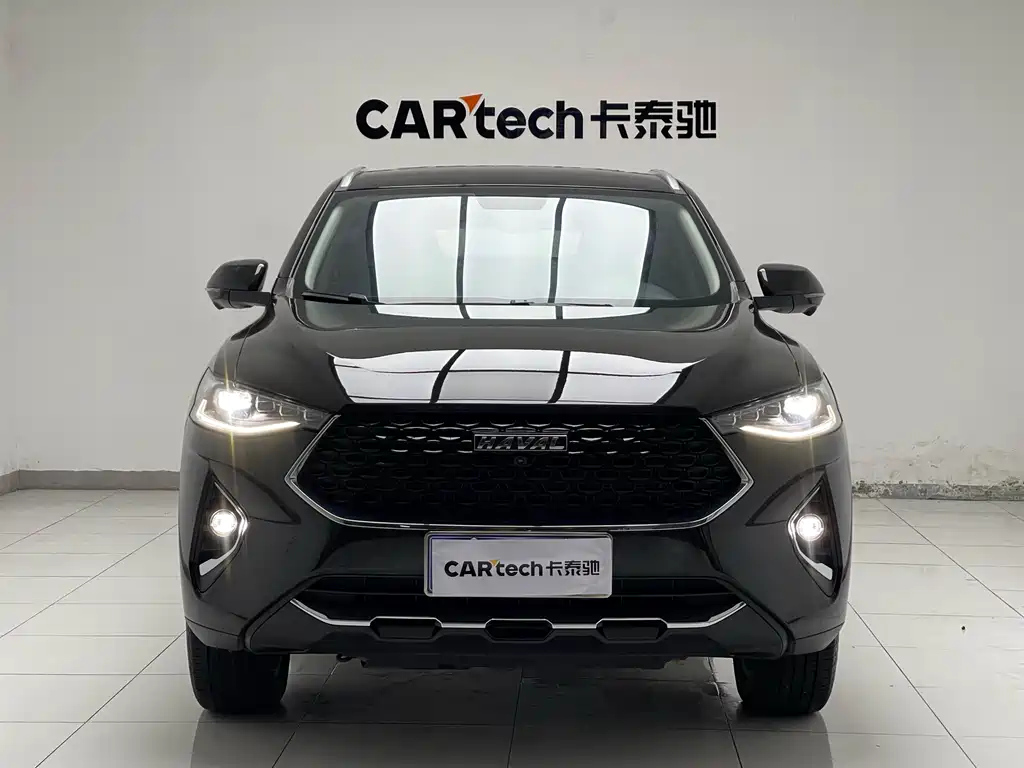 HAVAL F7X 2019