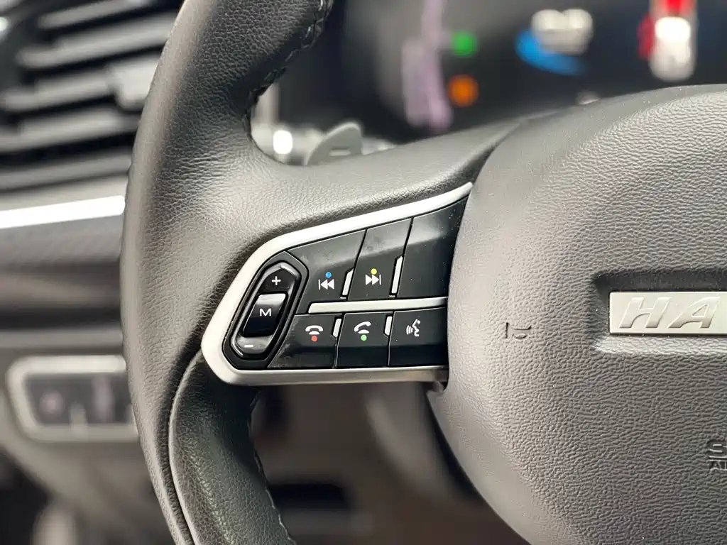 HAVAL F7X 2019