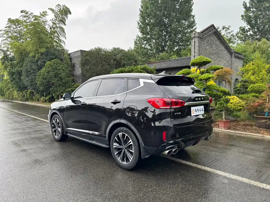 WEY VV6 2021