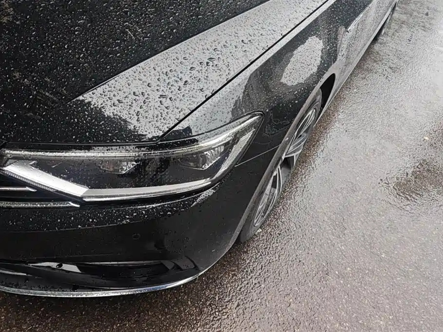 VOLKSWAGEN MAGOTAN 2020