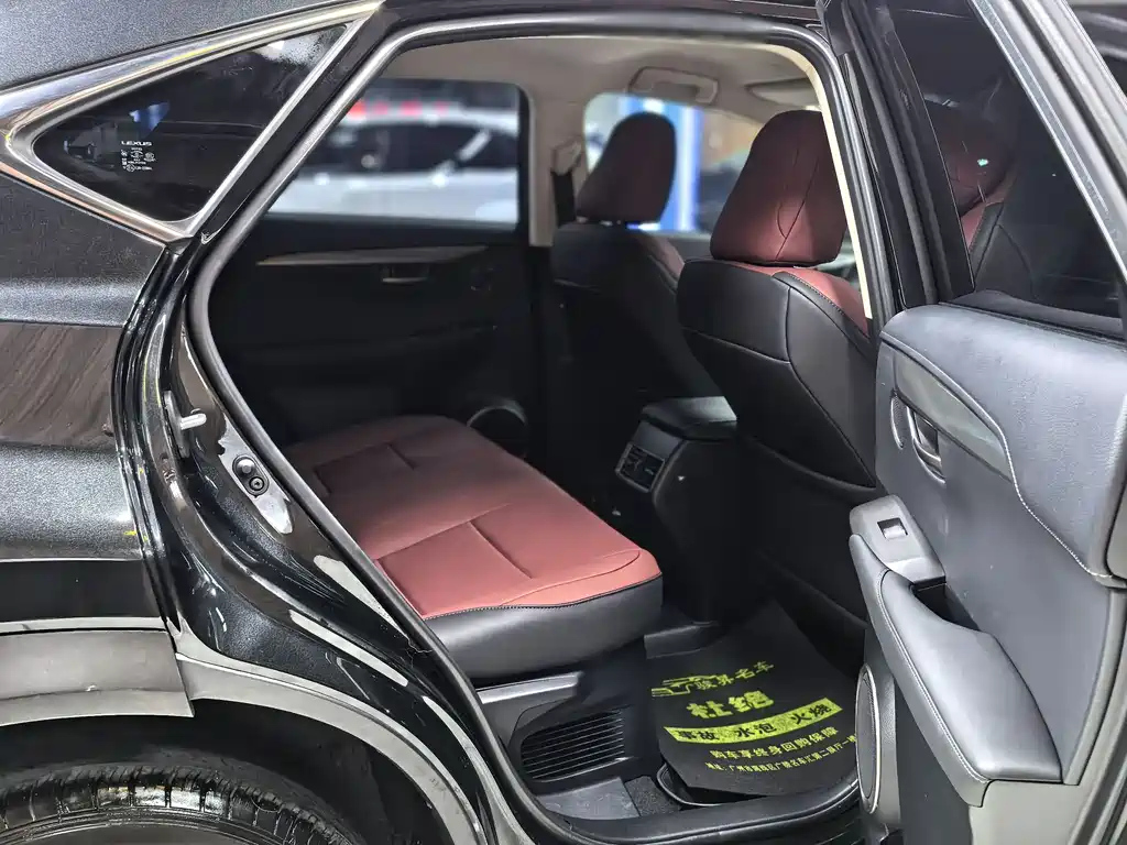 LEXUS NX 2020