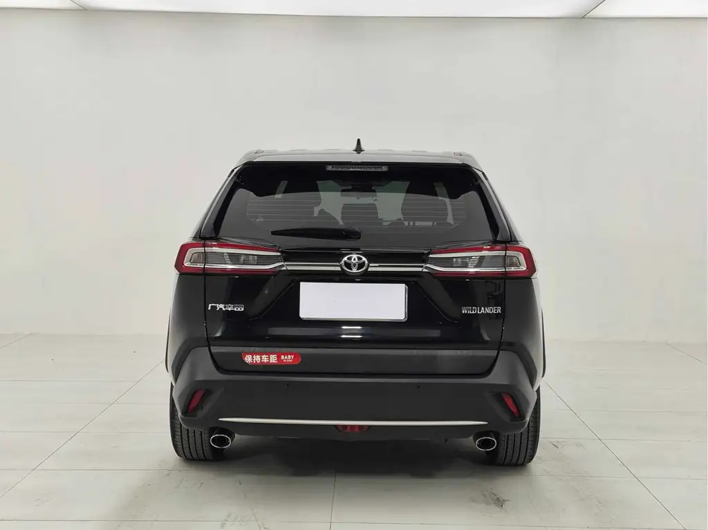 TOYOTA WILDLANDER 2021