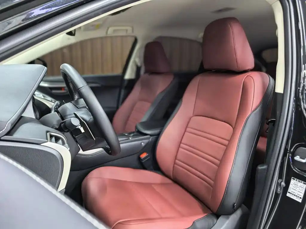 LEXUS NX 2020