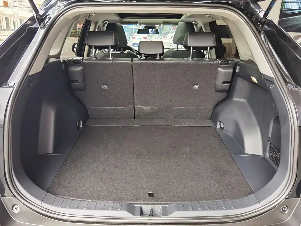 TOYOTA RAV4 RONGFANG 2023