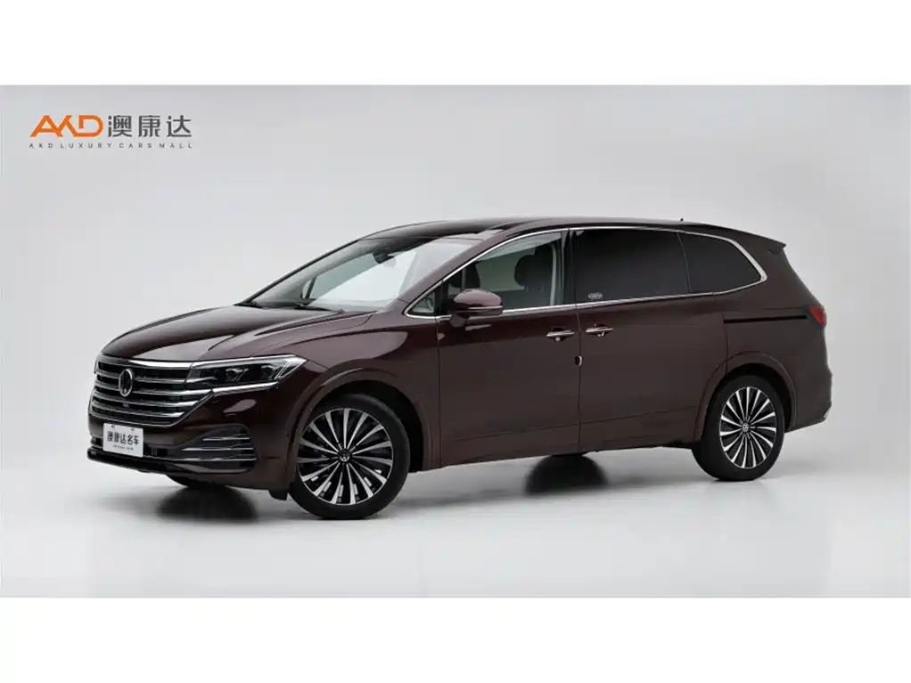 VOLKSWAGEN VILORAN 2020
