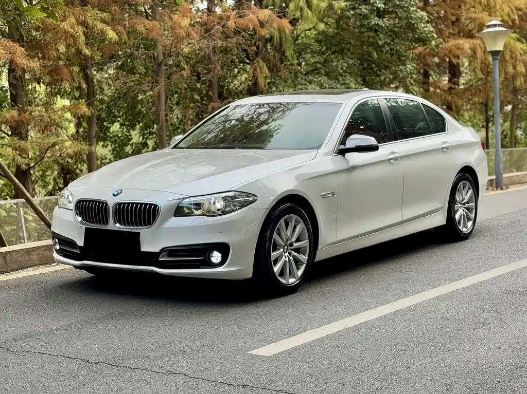 BMW 5-SERIES 2014