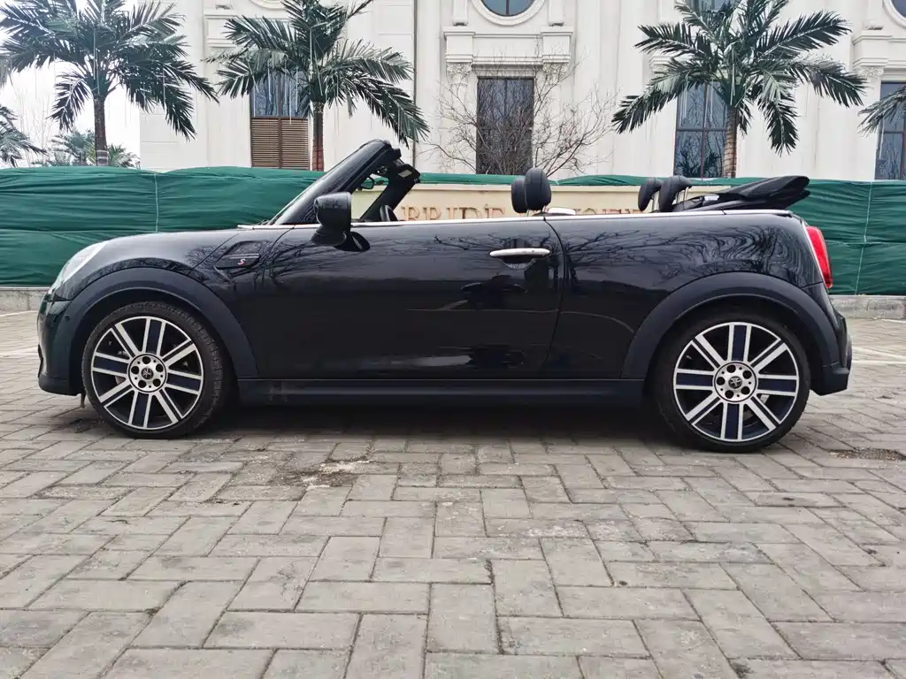 MINI OTHER 2023