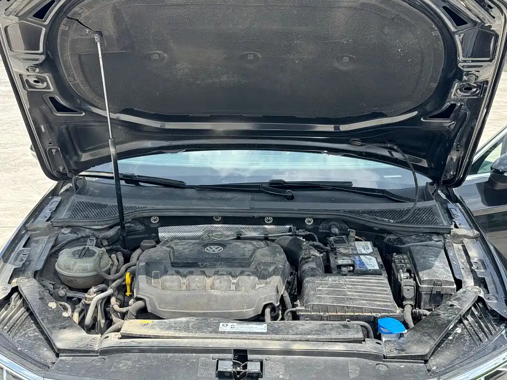 VOLKSWAGEN MAGOTAN 2020