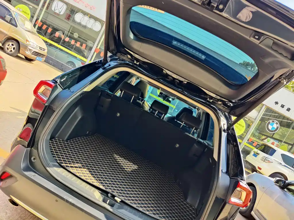 TOYOTA WILDLANDER 2021