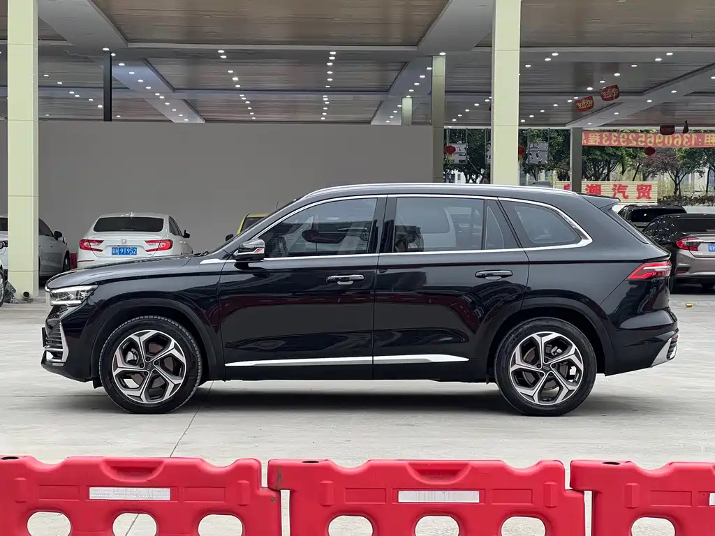 GEELY AUTO MONJARO 2021