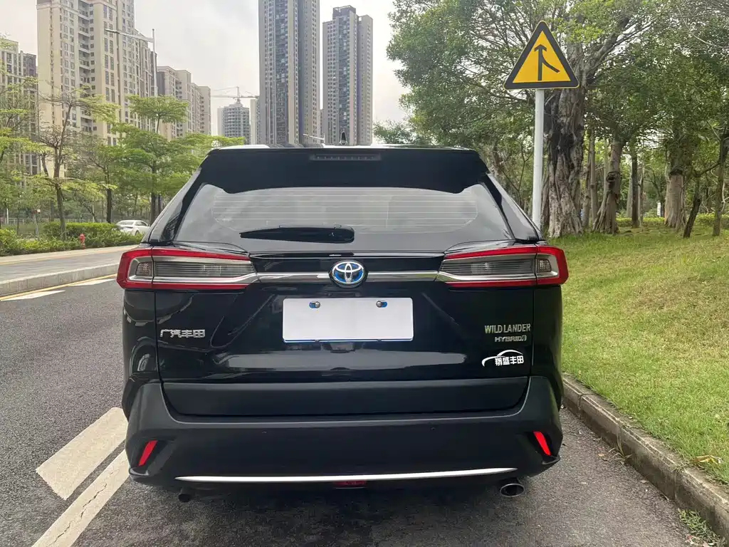 TOYOTA WILDLANDER 2021
