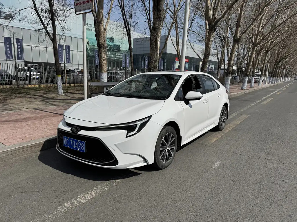 TOYOTA RALINK 2023