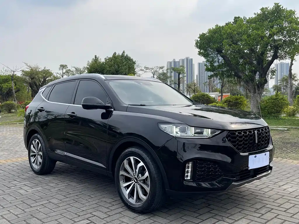 WEY VV6 2019