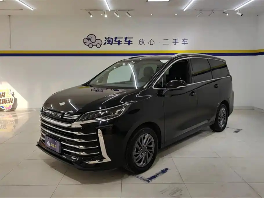 Аукционный лист MAXUS OTHER 2021