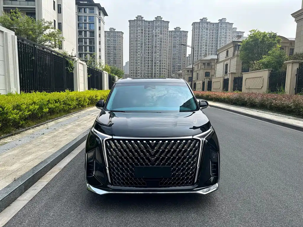 MAXUS OTHER 2022