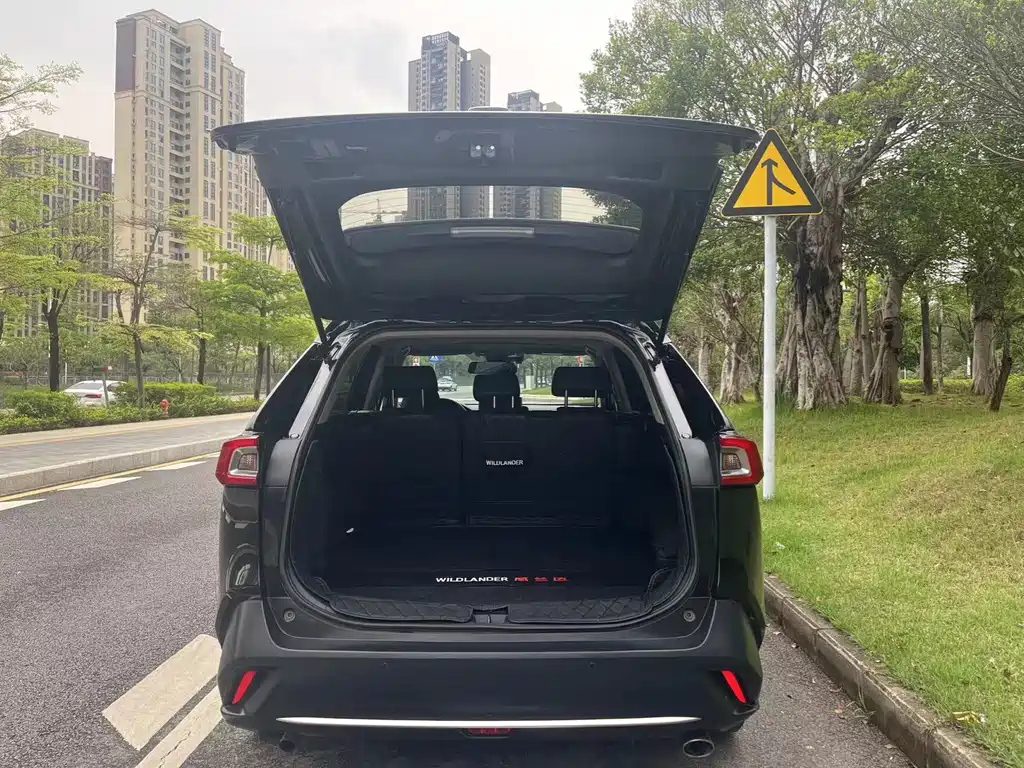 TOYOTA WILDLANDER 2021