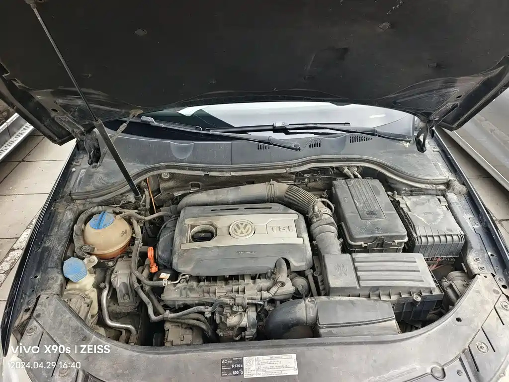 VOLKSWAGEN MAGOTAN 2010