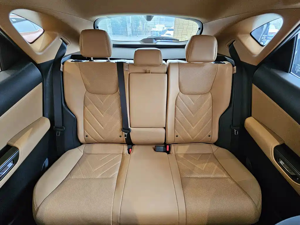 LEXUS NX NEW ENERGY 2022