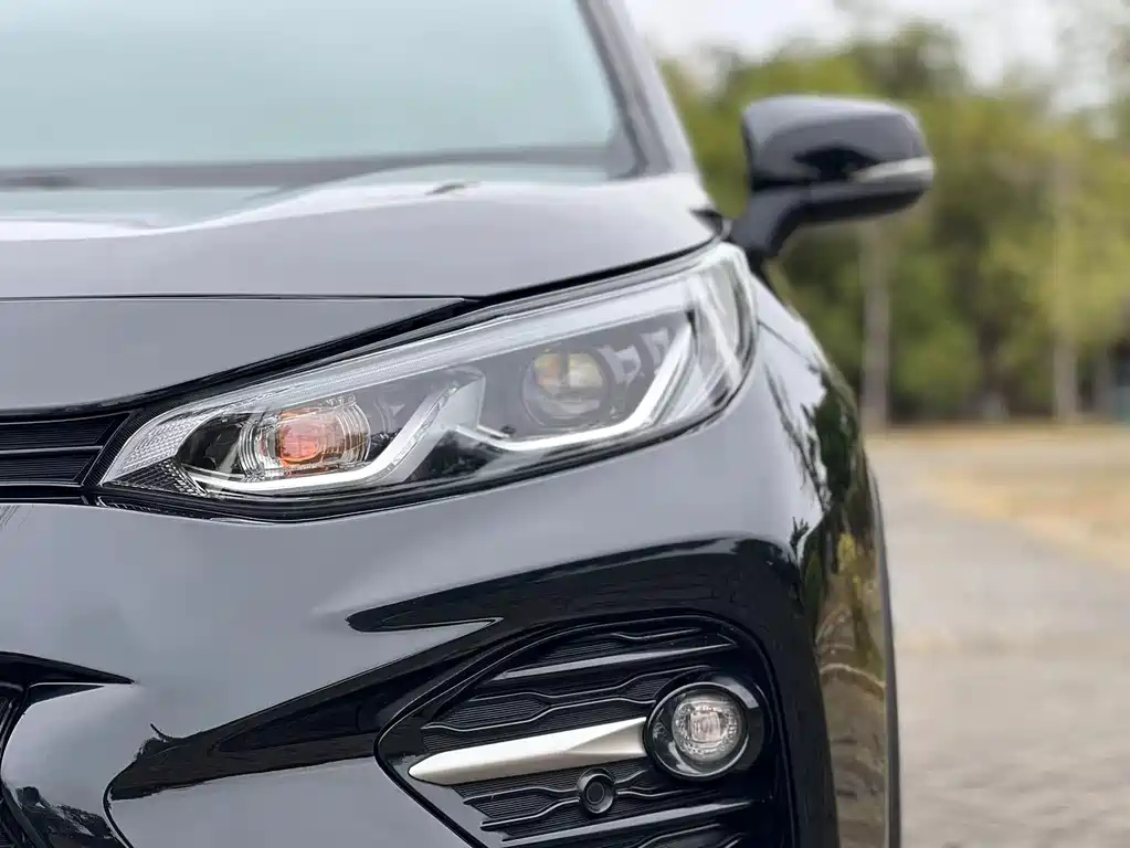 TOYOTA WILDLANDER 2020