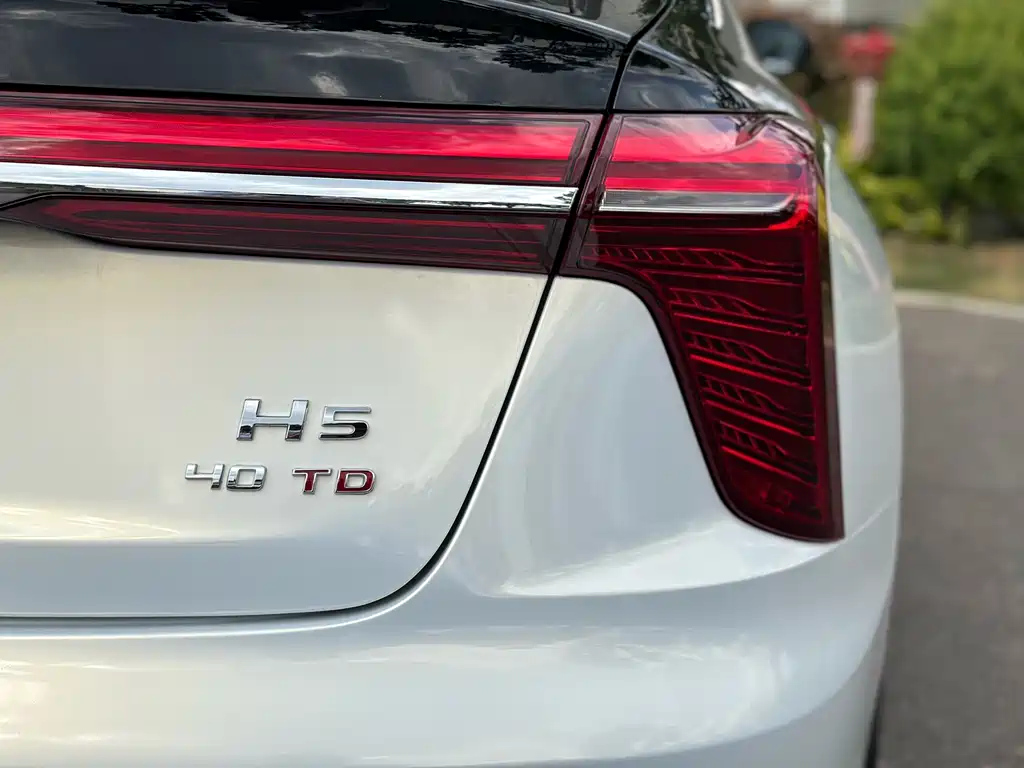 HONGQI H5 2024