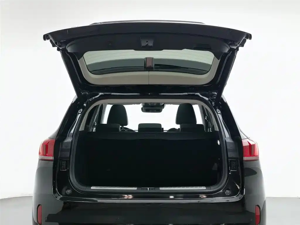 WEY VV6 2019