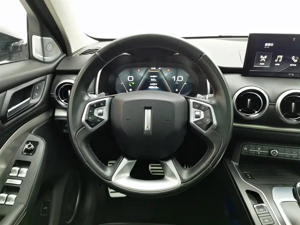 WEY VV6 2019