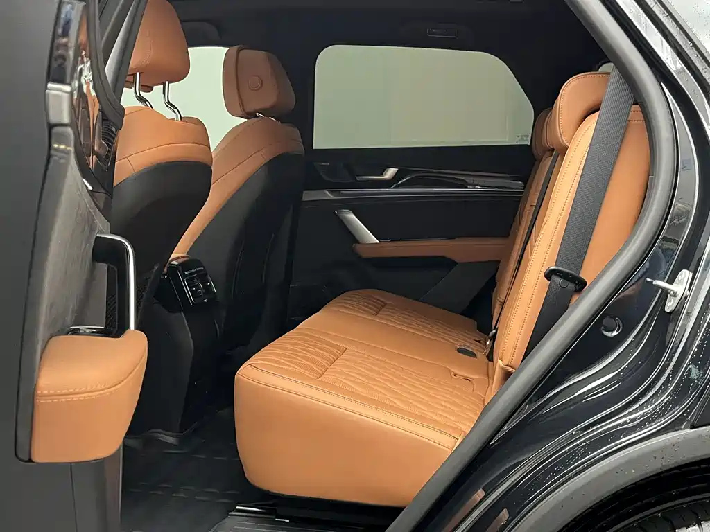 BYD TANG NEW ENERGY 2024