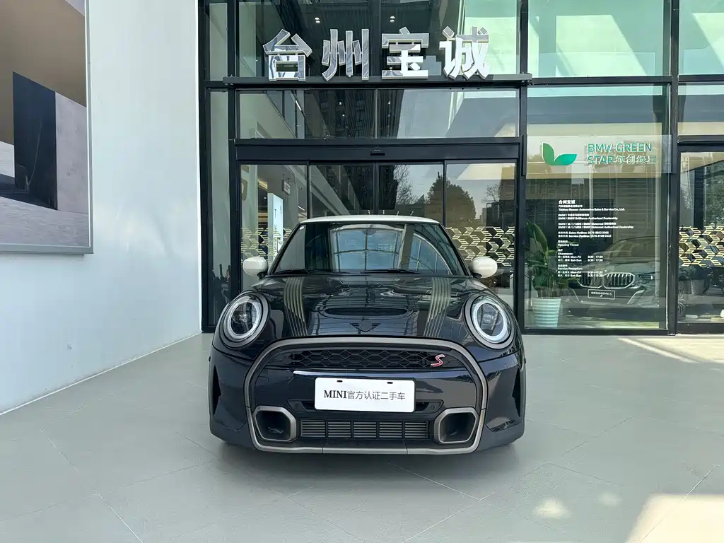 MINI OTHER 2023