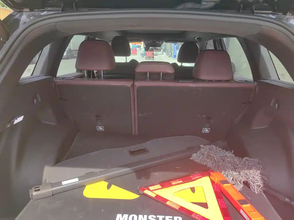 GEELY AUTO MONJARO 2022