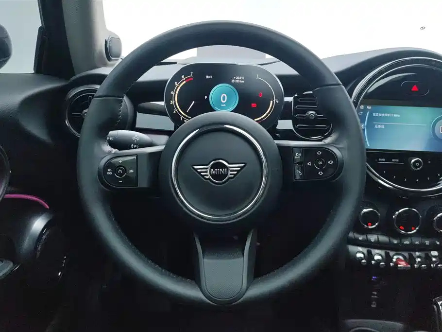 MINI OTHER 2022
