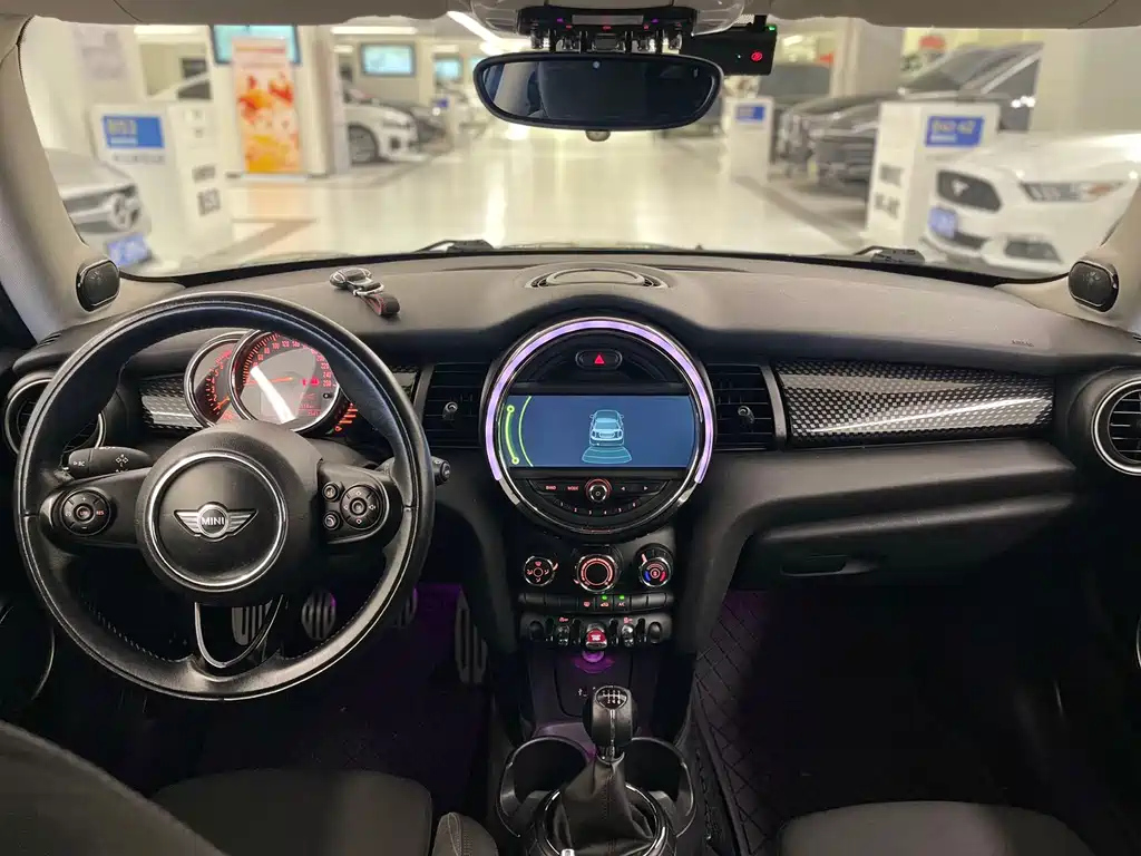 MINI OTHER 2015