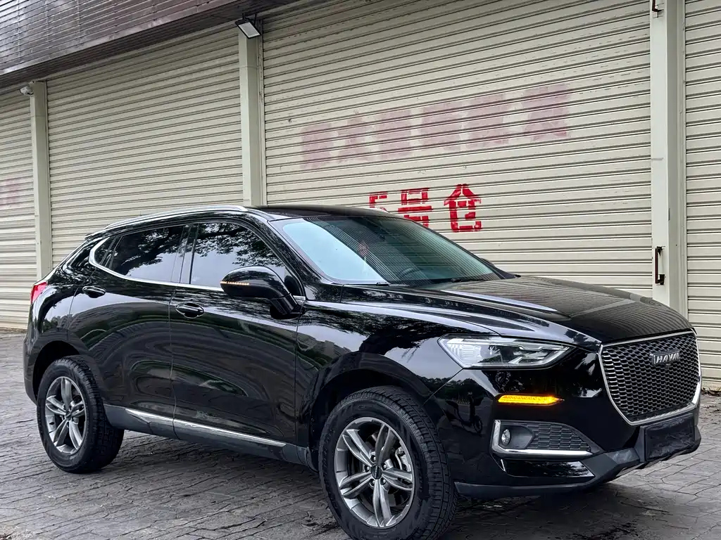 HAVAL F5 2019