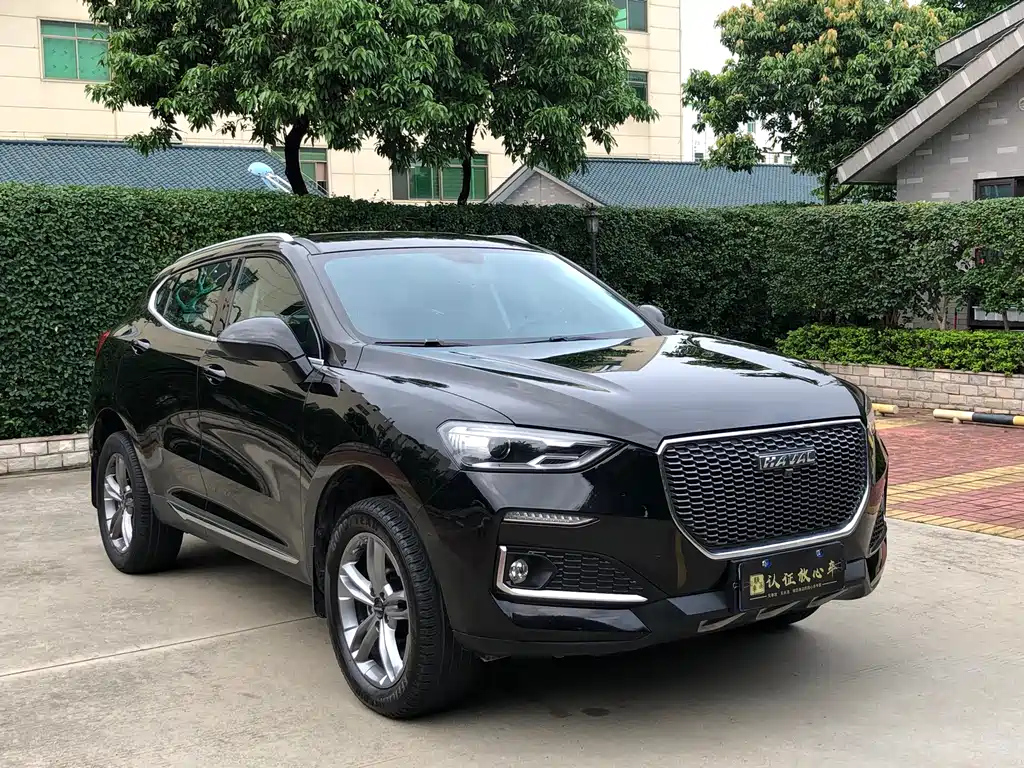 HAVAL F5 2019