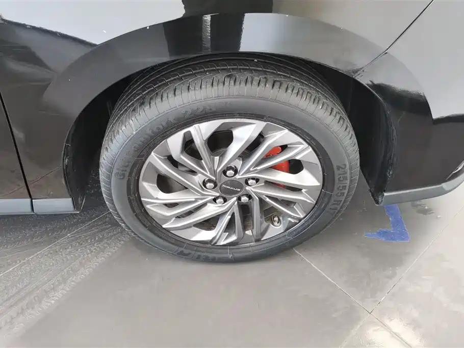 MAXUS OTHER 2020