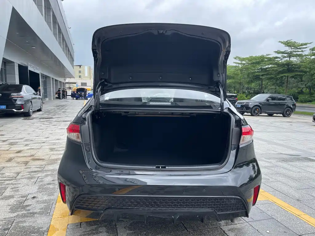 TOYOTA RALINK 2021