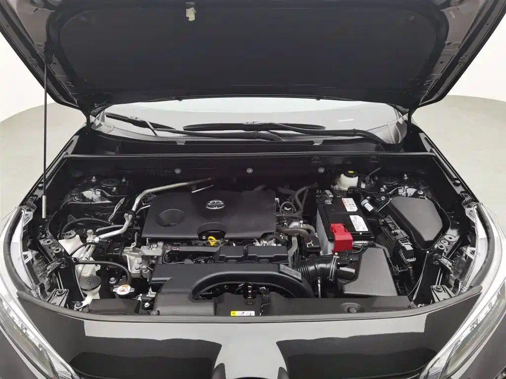 TOYOTA WILDLANDER 2021